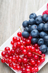 Fresh blueberries and red currant.