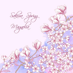 Fototapeta na wymiar Sakura and Magnolia