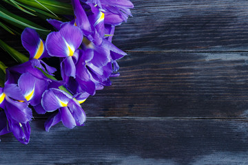 bouquet of irises