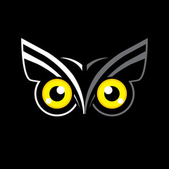 Obraz premium Owl eyes graphic vector