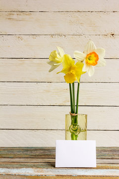 Three spring flower yellow and white daffodils with Golden wedding rings in glass vase with greeting blank card on a white wooden background. The Provence style, rustic. With space for text