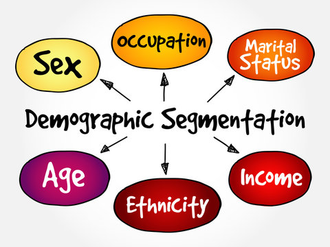 Demographic segmentation mind map flowchart social business concept for presentations and reports