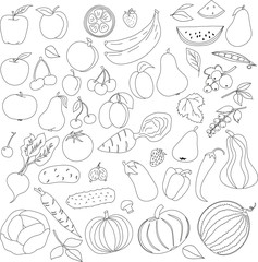 pencil pattern of fruit and vegetables