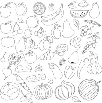 pencil pattern of fruit and vegetables