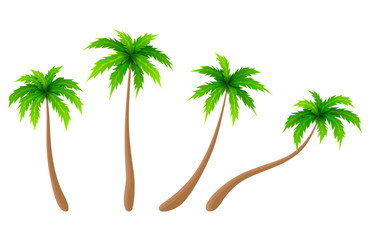 Obraz premium Set of vector palm trees. Cartoon collection of palm trees. Vector illustration.