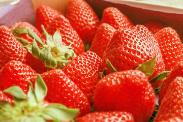 Fresh ripe strawberry
