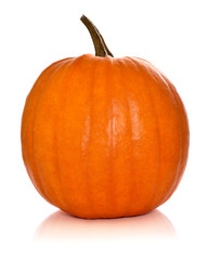 Halloween pumpkin, isolated on white. 