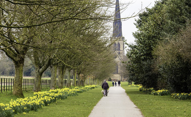 Fototapete bei efototapeten.de bestellen   