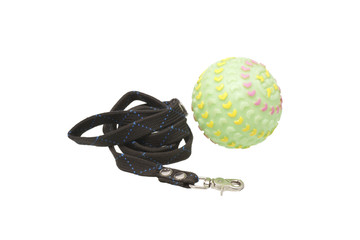 Dog leash and toys. Isolated.