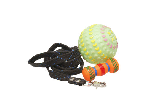 Dog leash and toys.