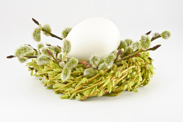 Jajko w gniazdku z wierzbowych gałązek i bazi na białym tle. Wielkanoc.
Wiosenna, wielkanocna dekoracja na białym tle .