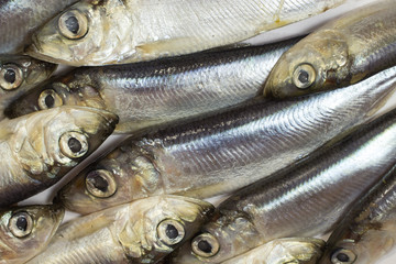 Fototapeta premium Sea fish herring close up