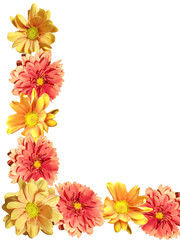 Floral background. Dahlias and chrysanthemums 