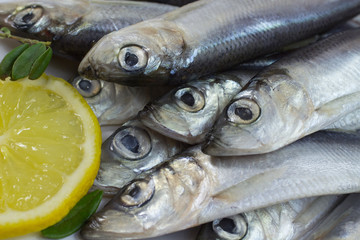 Fish herring and lemon. Close-up