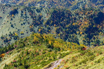 Shibu pass in autumn in Gunma and Nagano, Japan