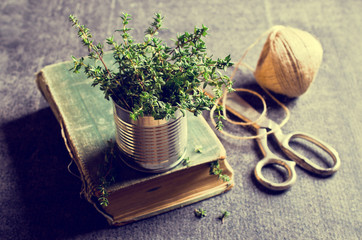 Sprigs of fresh thyme