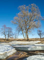  Ice floes on the river bank in spring