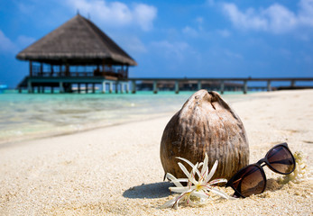 Kokosnuss mit Blumen und Sonnenbrille am Strand der Malediven