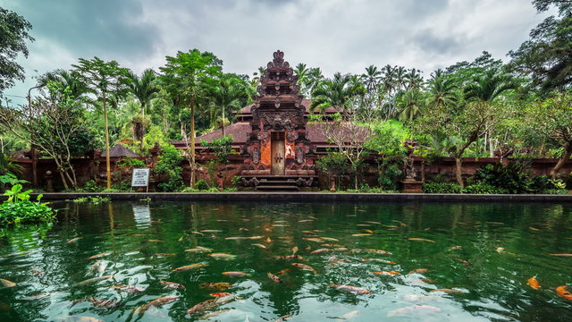 4K Timelapse. Fish pond on the background of the temple. 15 July 2015, Bali, Indonesia