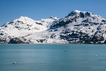 Obraz premium Glacire Bay, Alaska