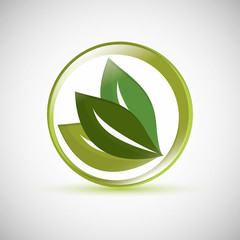 Natural and eco  design