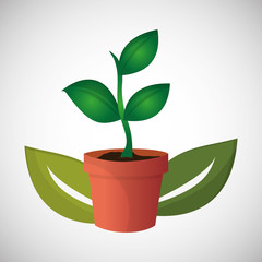 Natural and eco  design