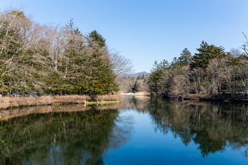 Fototapeta na wymiar Lake in karuizawa