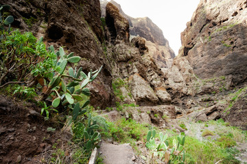 Beautiful Tenerife landscape - Masca Valley