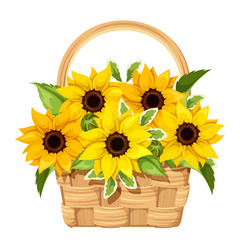 Vector illustration of a basket with sunflowers isolated on a white background.