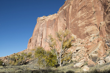 Fototapeta premium Desierto de rocas coloradas, Utah, USA