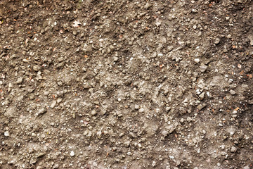 Soil closeup top view