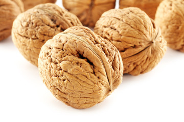 walnut 