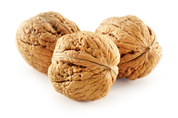 walnut 