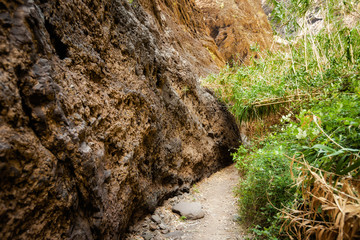 Beautiful Tenerife landscape - Masca Valley
