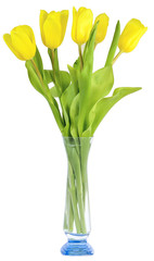 five tulips yellow color in vase
