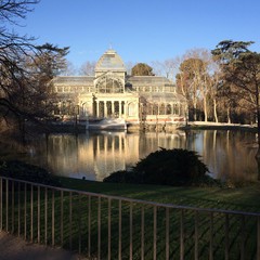 Pond at Palacio de Cristal, in Retiro Park, Madrid