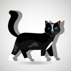 cute cat design 