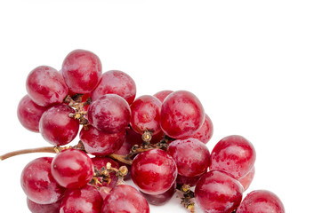 close up of red grape isolated white background