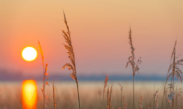 Fototapeta Shore of a lake at sunrise in winter