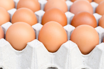 eggs of chicken on paper egg tray