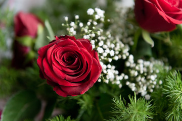 Nice roses in celebration concept