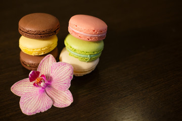 French macaroon