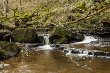 Waterfall on Hareshaw Burn near Bellingham in the county of Northumberland, England, UK.