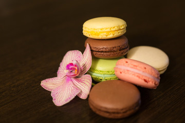 French macaroon