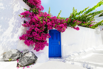 Traditional greek house with bougainvillaea on Santorini island, - obrazy, fototapety, plakaty