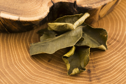 Cassia leaves