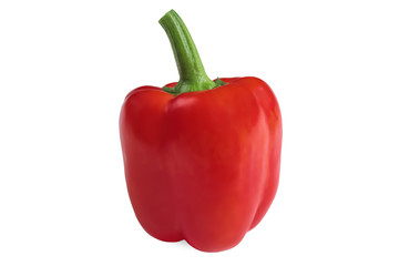 Single red bell pepper isolated on white