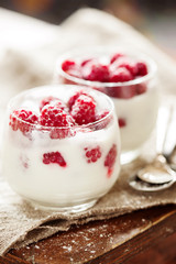 Raspberry and vanilla yogurt dessert