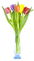 colorful tulips in a glass vase