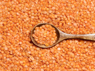 Red lentils with a spoon